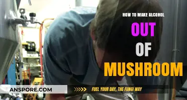 Brewing Magic: Crafting Mushroom-Based Alcohol at Home