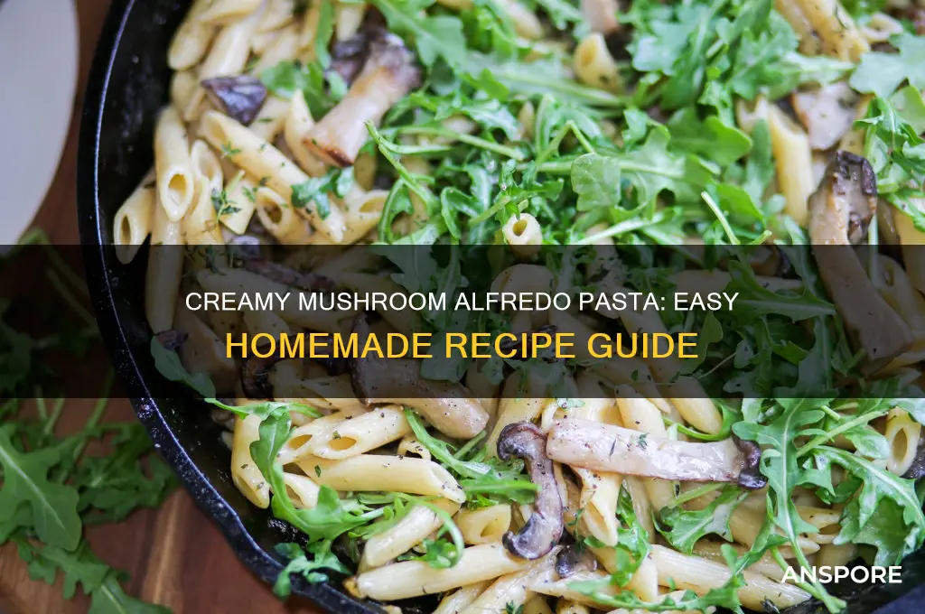 how to make alfredo pasta with mushrooms