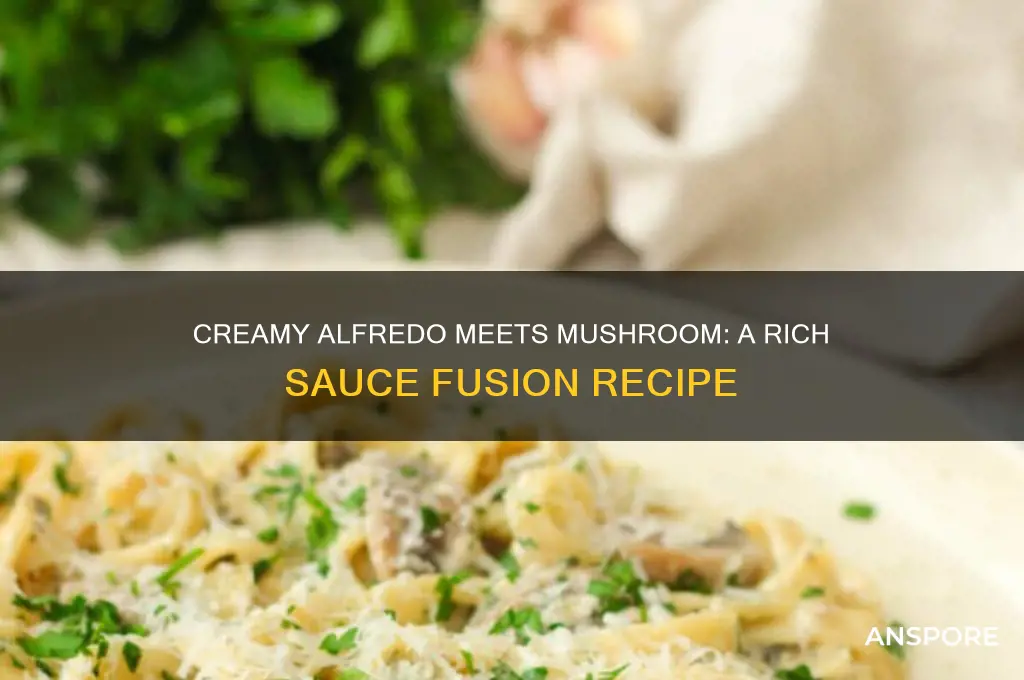 how to make alfredo sauce cream of mushroom