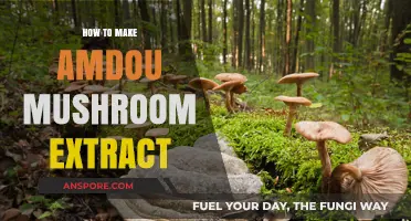 Mastering Amadou Mushroom Extract: Simple Steps for Homemade Preparation