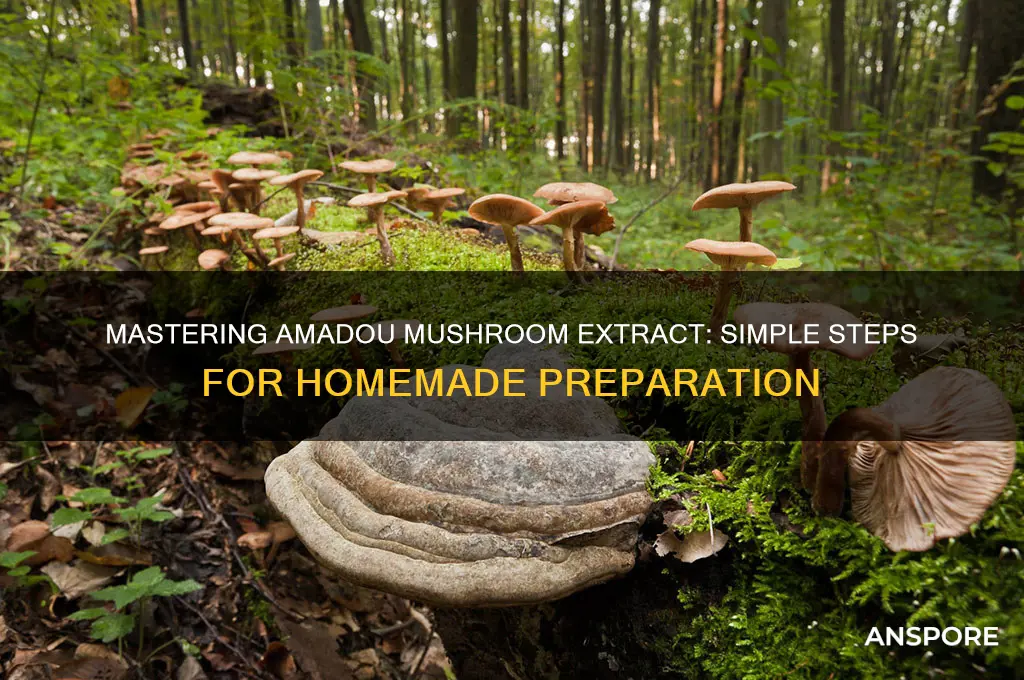 how to make amdou mushroom extract
