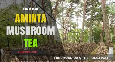 Brewing Aminta Mushroom Tea: A Simple Guide to Wellness