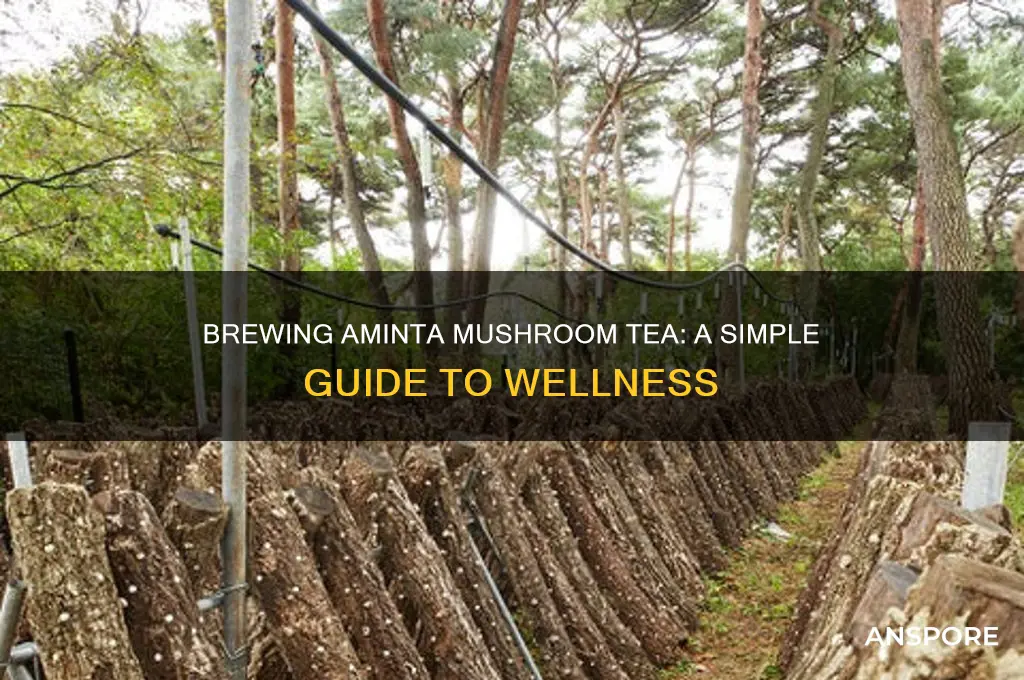 how to make aminta mushroom tea