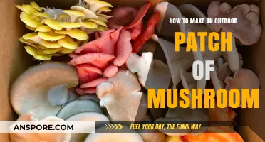 Cultivating Your Own Outdoor Mushroom Patch: A Step-by-Step Guide