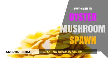 Mastering Oyster Mushroom Spawn Creation: A Step-by-Step Guide