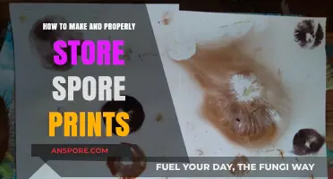 Mastering Spore Prints: A Guide to Creation and Storage Techniques