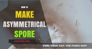 Mastering Asymmetrical Spore Creation: Techniques and Tips for Unique Designs