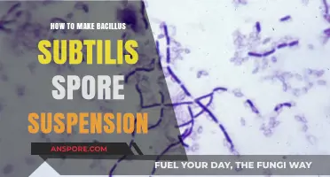 Mastering Bacillus Subtilis Spore Suspension Preparation: A Step-by-Step Guide