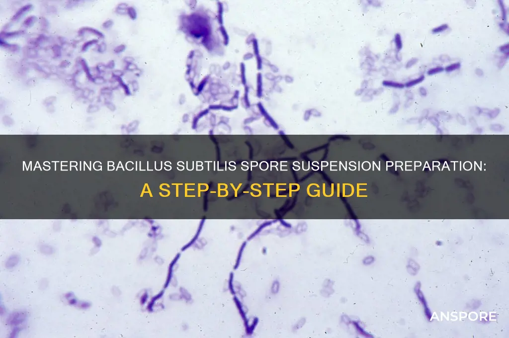 how to make bacillus subtilis spore suspension