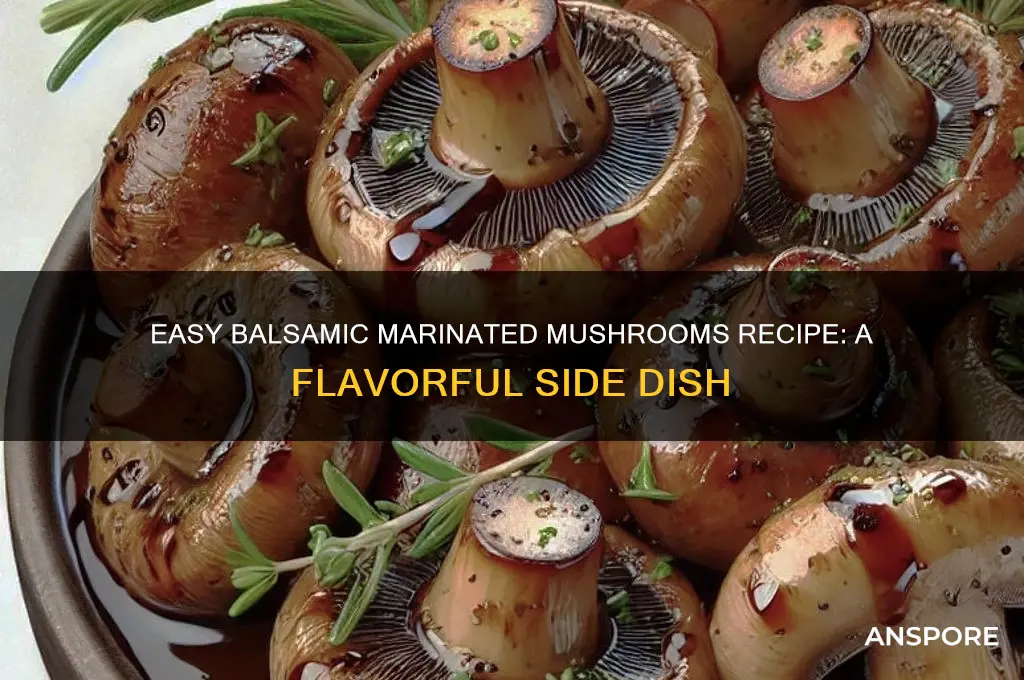 how to make balsamic marinated mushrooms
