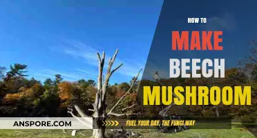 Mastering Beech Mushrooms: Simple Steps for Growing at Home