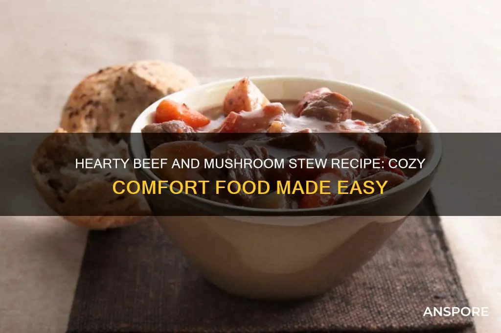 how to make beef and mushroom stew