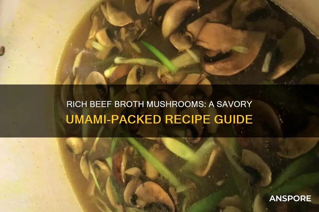 how to make beef broth mushrooms