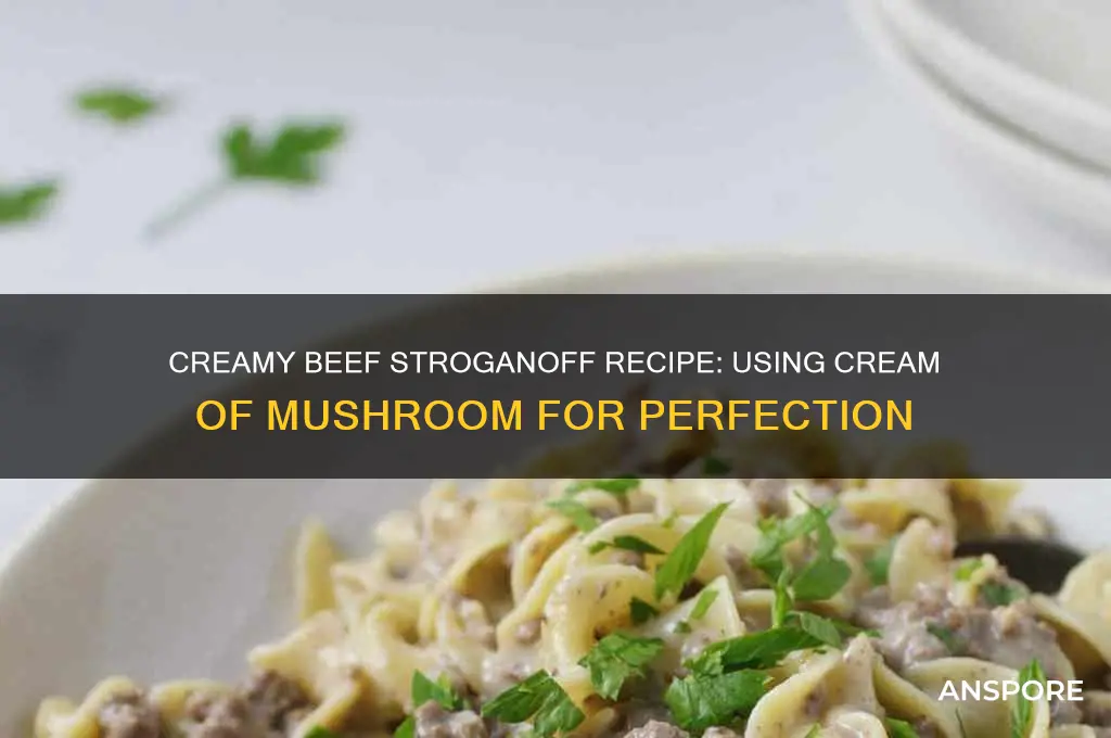 how to make beef stroganoff with cream of mushroom