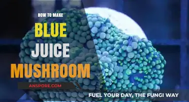Crafting Blue Juice Mushroom: Simple Steps for Vibrant Homemade Elixir