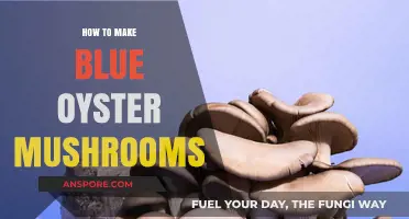 Mastering Blue Oyster Mushroom Cultivation: Simple Steps for Abundant Harvests