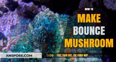 Master the Art of Making Bounce Mushrooms: A Step-by-Step Guide