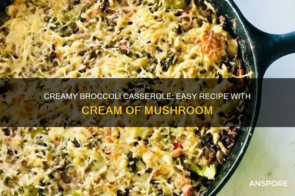 how to make broccoli casserole with cream of mushroom