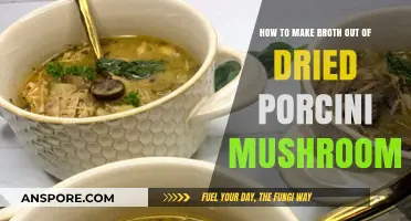 Rich Porcini Mushroom Broth: A Simple Recipe for Umami Flavor