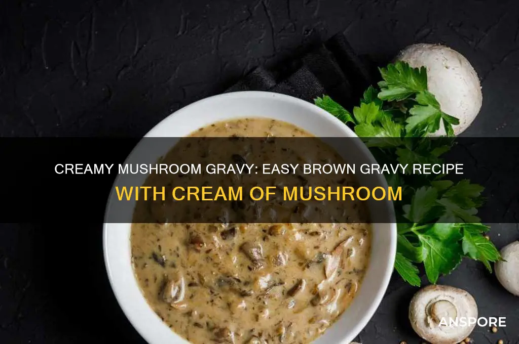 how to make brown gravy with cream of mushroom