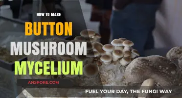 Mastering Mushroom Cultivation: A Guide to Growing Button Mycelium