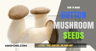 Growing Button Mushrooms: A Step-by-Step Guide to Making Mushroom Spawn