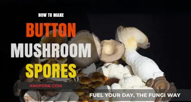 Mastering Mushroom Cultivation: A Guide to Creating Button Mushroom Spores