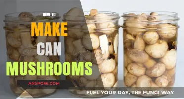 Mastering the Art of Canning Mushrooms: A Step-by-Step Guide