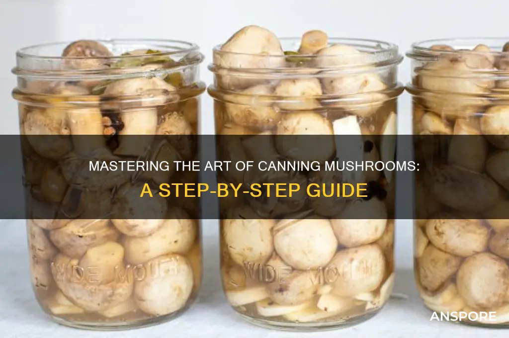 how to make can mushrooms
