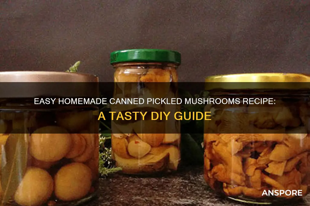 how to make canned pickled mushrooms