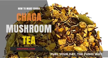 Brewing Chaga Mushroom Tea: Simple Steps for Earthy, Health-Boosting Elixir