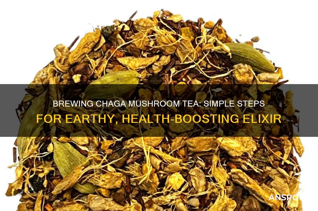 how to make chaga chaga mushroom tea