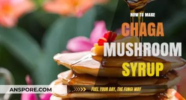 Crafting Chaga Mushroom Syrup: A Simple, Healthy DIY Recipe Guide