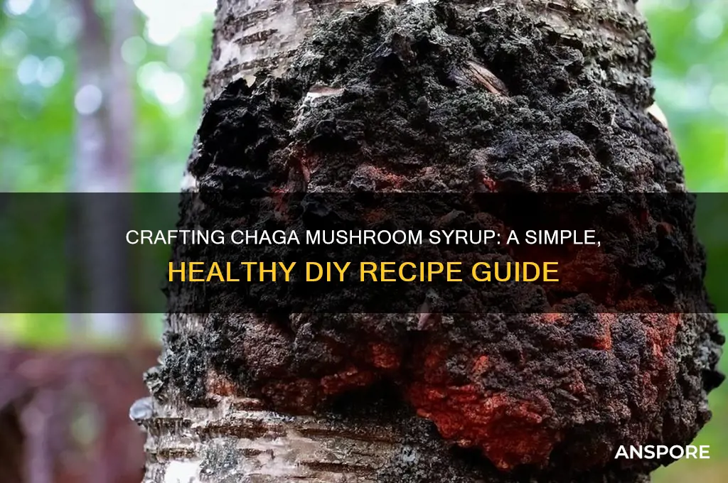 how to make chaga mushroom syrup