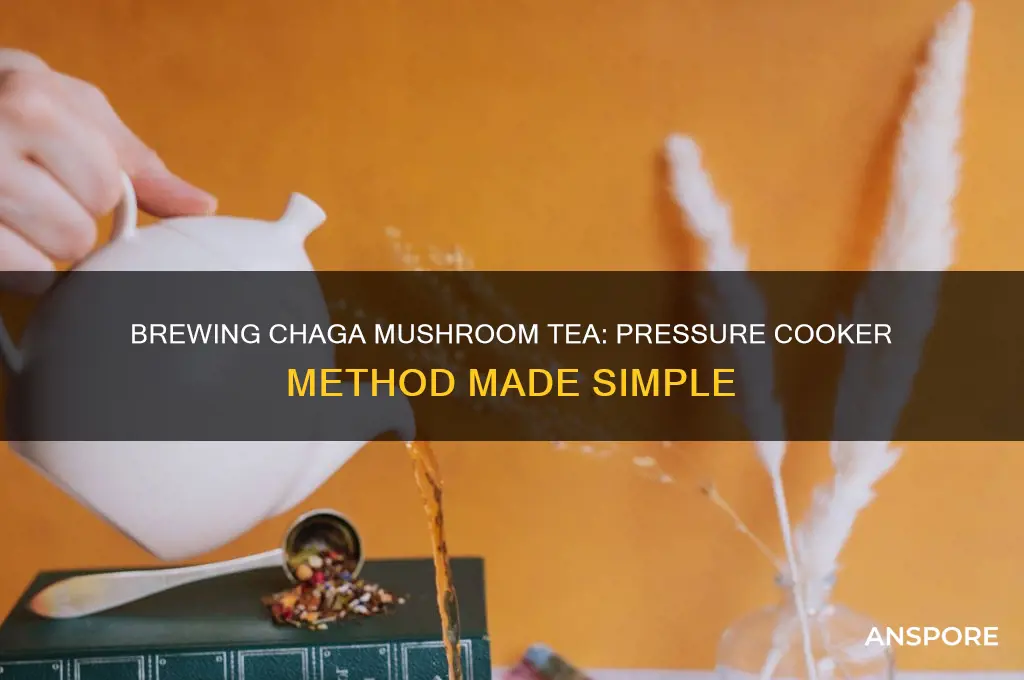 how to make chaga mushroom tea in a pressure cooker