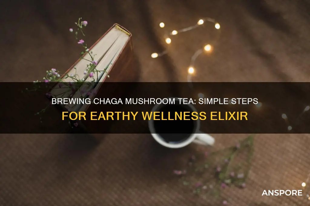 how to make chaga mushroom tea