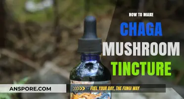 Crafting Chaga Mushroom Tincture: A Step-by-Step Guide to Wellness