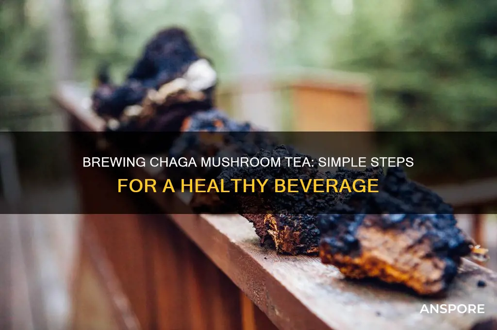how to make chaga mushroom