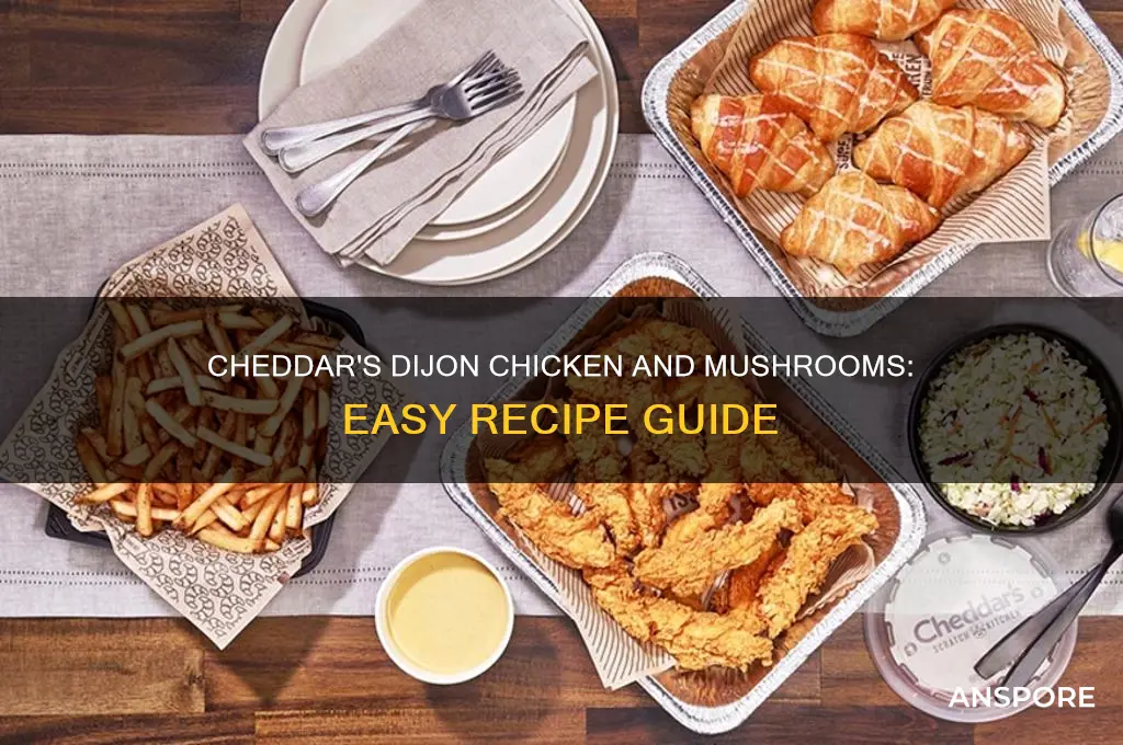 how to make cheddars dijon chicken and mushrooms