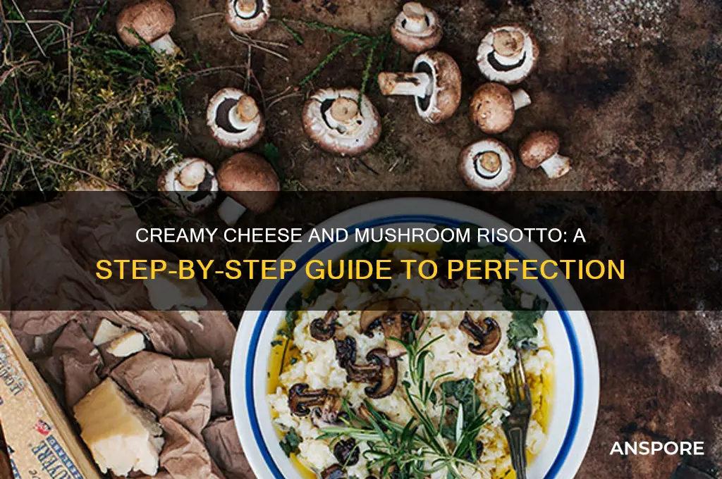 how to make cheese and mushroom risotto