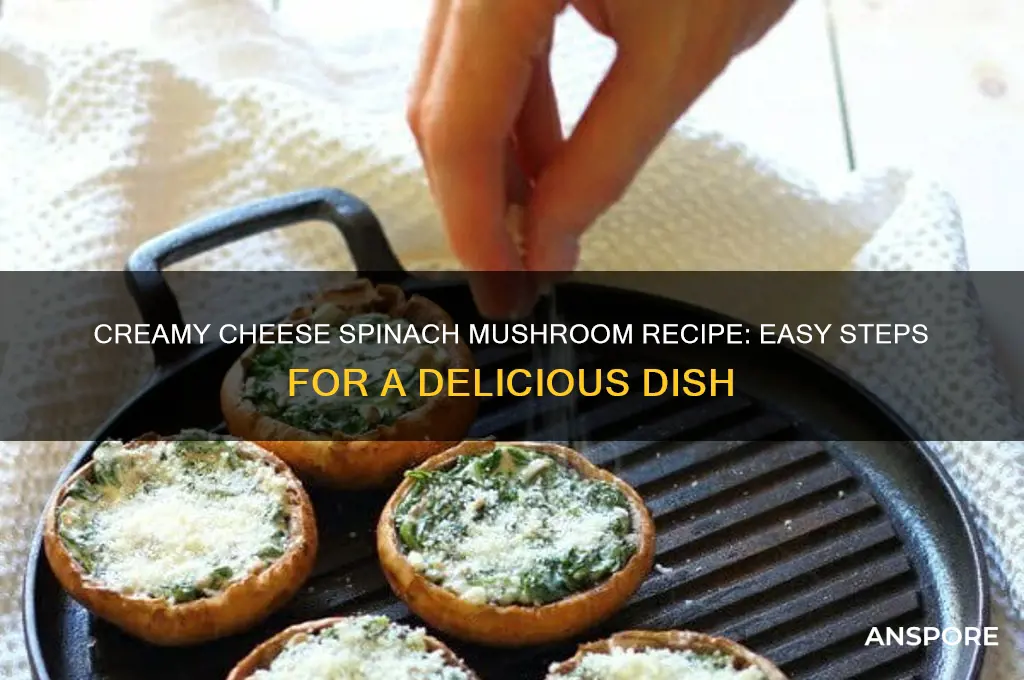 how to make cheese spinach mushroom
