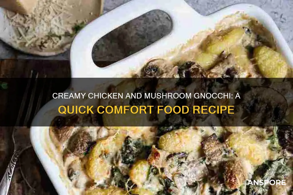 how to make chicken and mushroom gnocchi