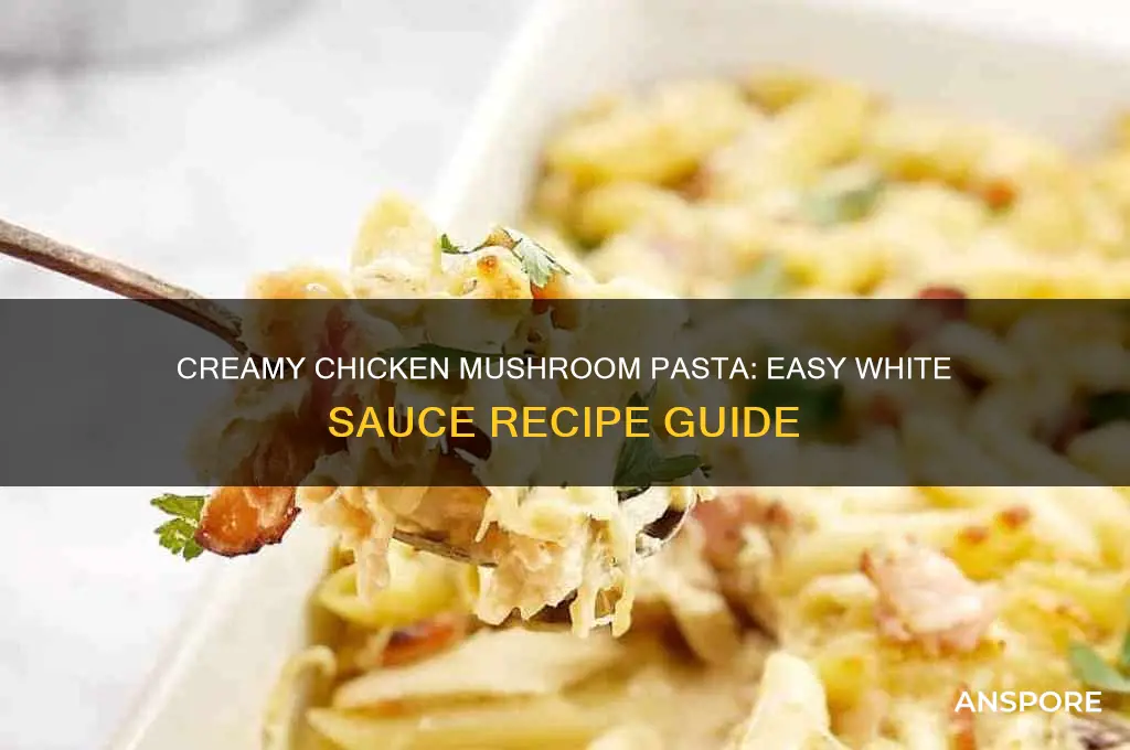 how to make chicken and mushroom pasta with white sauce