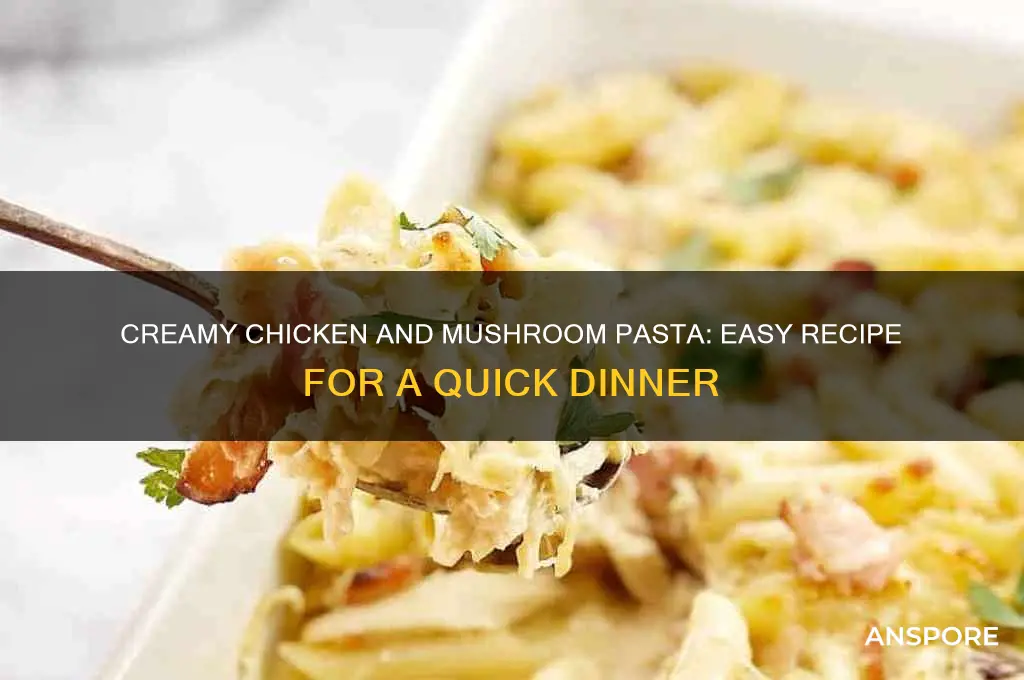 how to make chicken and mushroom pasta