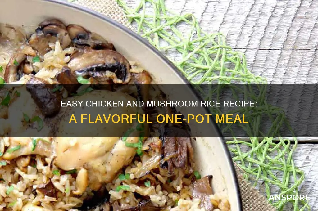 how to make chicken and mushroom rice