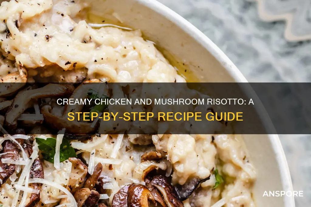 how to make chicken and mushroom risotto recipe