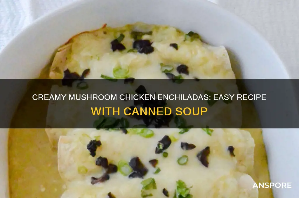 how to make chicken enchiladas with mushroom soup