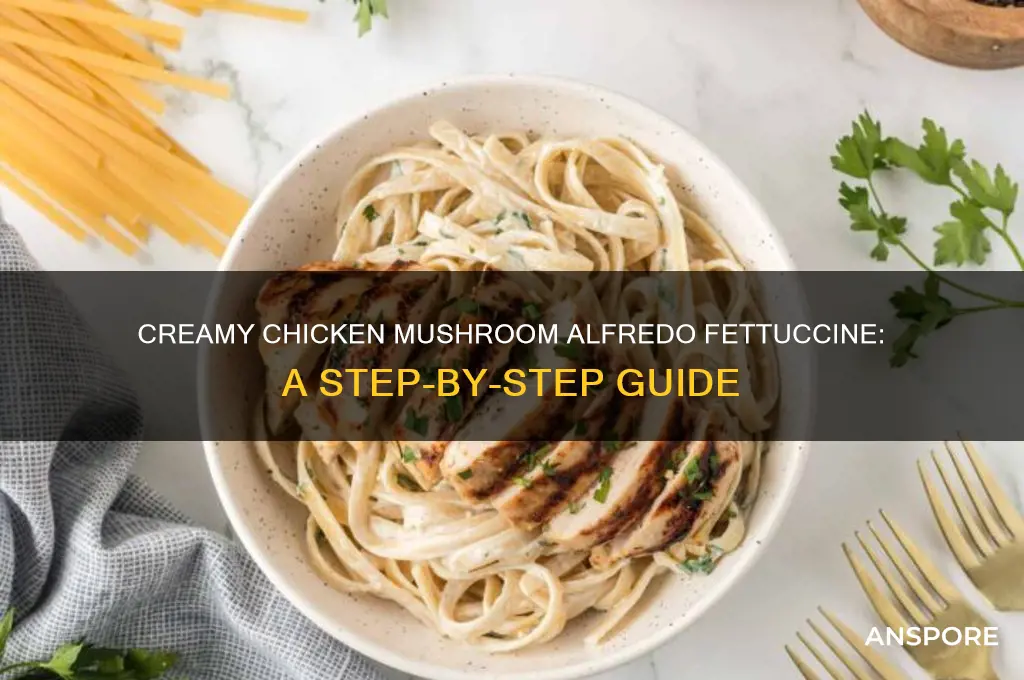 how to make chicken mushroom aldredo fetticine