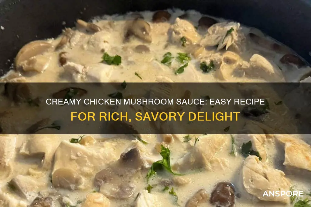 how to make chicken mushroom cream sauce