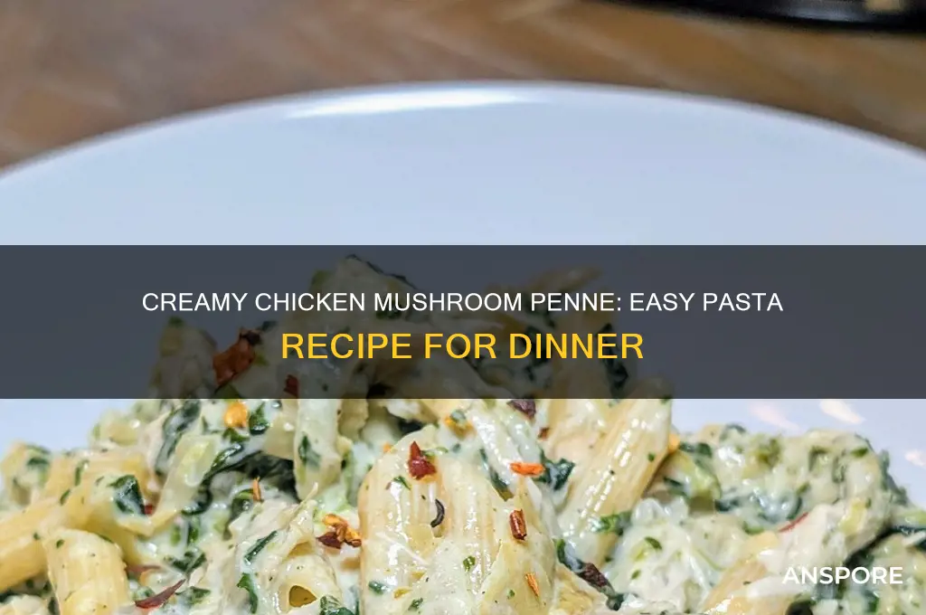 how to make chicken mushroom penne pasta